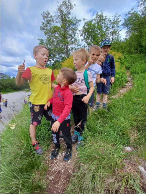 Podmladek planinskega društva Dobrovo.