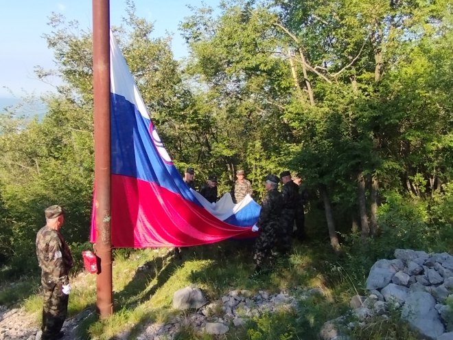 Dvigovalci zastave